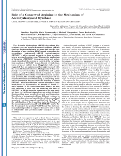 Role of a Conserved Arginine in the Mechanism of
