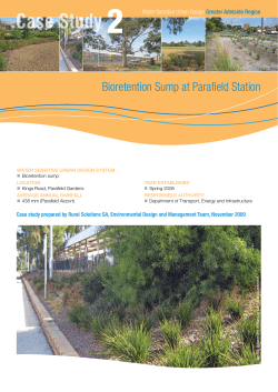 dy C St d Case Study