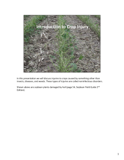 08 Introduction to Crop Injury