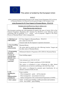 Action Fiche for [beneficiary country/region/Theme] ("Annex" when