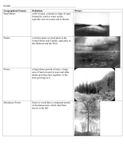 Geographical Feature