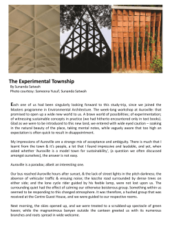 The Experimental Township