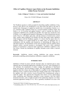 Effect of Capillary Element Aspect Ratio on the Dynamic