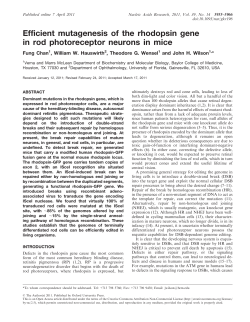 Efficient mutagenesis of the rhodopsin gene in