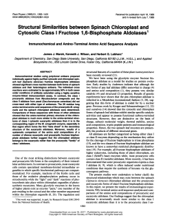 Structural Similarities between Spinach Chloroplast and