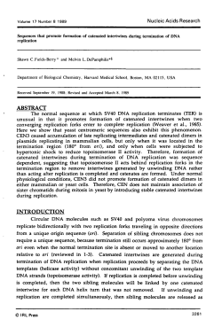 Sequences that promote formation of catenated intertwines during