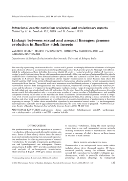 Linkage between sexual and asexual lineages: genome evolution in
