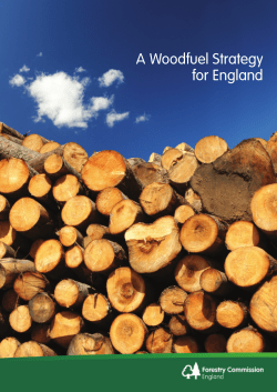 A Woodfuel Strategy for England