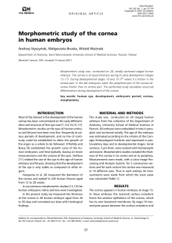 Morphometric study of the cornea in human embryos