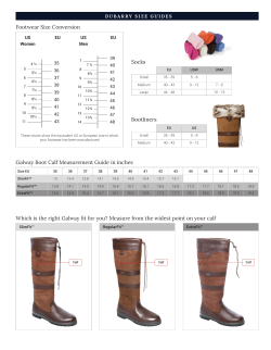 Bootliners Galway Boot Calf Measurement Guide in inches