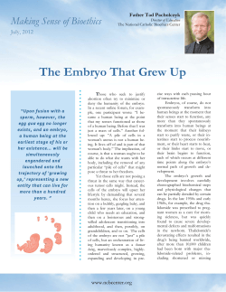 The Embryo That Grew Up - National Catholic Bioethics Center