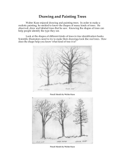 Drawing and Painting Trees
