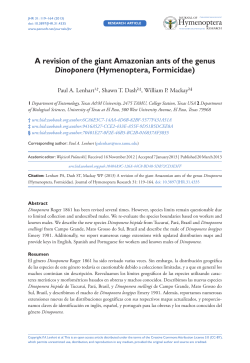 A revision of the giant Amazonian ants of the genus Dinoponera
