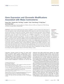 Gene Expression and Chromatin Modifications Associated with