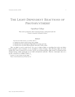 The Light-Dependent Reactions of Photosynthesis&lowast;