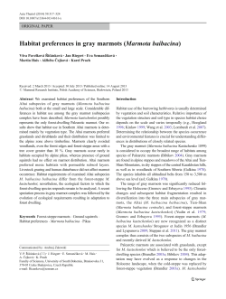 Habitat preferences in gray marmots (Marmota baibacina)