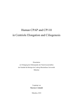 Human CPAP and CP110 in centriole elongation and ciliogenesis