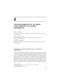 6 geomicrobiology of iron and arsenic in anoxic sediments