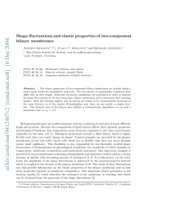 Shape fluctuations and elastic properties of two