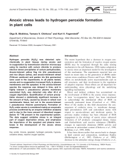 Anoxic stress leads to hydrogen peroxide formation in plant cells