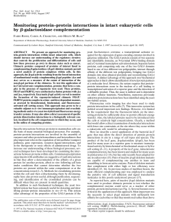 Monitoring protein&ndash;protein interactions in intact eukaryotic cells by