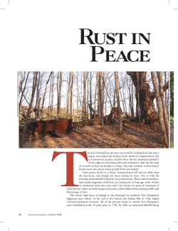 Rust in Peace - Northern Woodlands