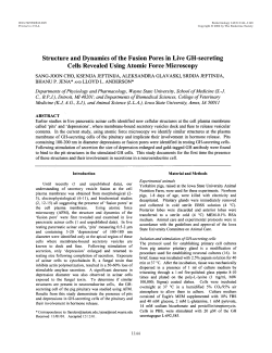 Structure and Dynamics of the Fusion Pores in Live GH