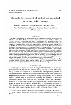 The early development of haploid and aneuploid parthenogenetic