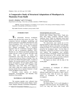 a comparative study of structural adaptations of mouthparts in