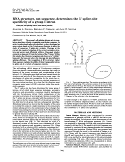 RNA structure, not sequence, determines the 5` splice