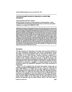 Can heterotrophic bacteria be important to marine light absorption?
