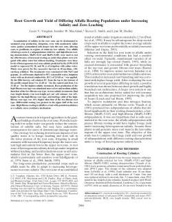 Root Growth and Yield of Differing Alfalfa Rooting Populations under