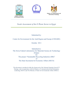 Egypt CEDARE Needs Assessment