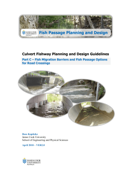 Fish migration barriers and fish passage options for road