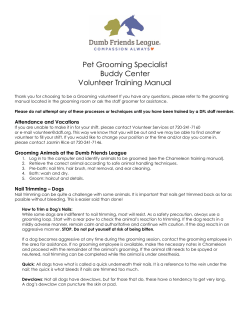 Pet Grooming Specialist Buddy Center Volunteer