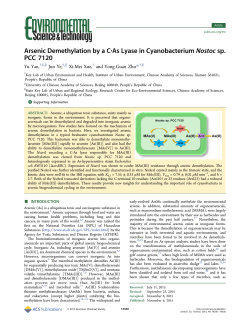 Arsenic Demethylation by a C&middot;As Lyase in