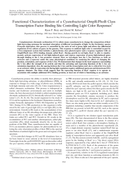 Functional Characterization of a Cyanobacterial OmpR/PhoB Class