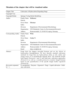 Metadata of the chapter that will be visualized online