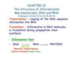 CHAPTER 33 The Structure of Informational Macromolecules: DNA