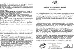 saving the endangered species the grizzly bear