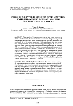 fishes of the cyprinid genus tor in the nam theun watershed
