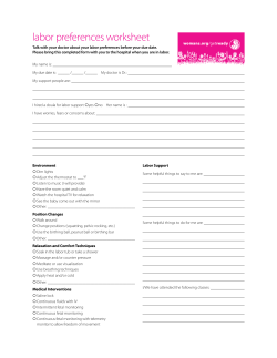 labor preferences worksheet