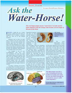 31 SHORT FEATURE The word hippocampus means &ldquo;water
