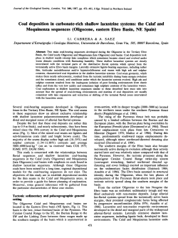 Coal deposition in carbonate-rich shallow lacustrine systems: the