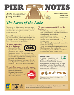Pier Notes - Minnesota DNR - MN-dnr