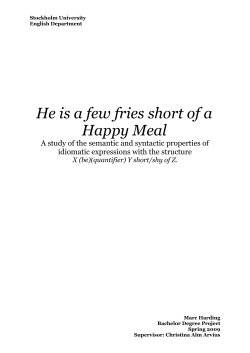 He Is A Few Fries Short Of A Happy Meal