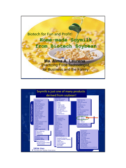 Home-made Soymilk from Biotech Soybean