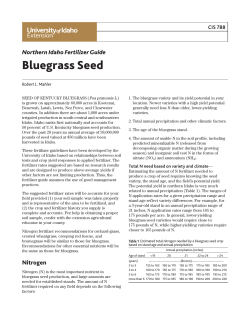 Northern Idaho Fertilizer Guide Bluegrass Seed