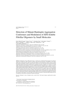 Detection of Mutant Huntingtin Aggregation Conformers and