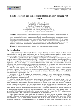Bands detection and Lanes segmentation in DNA Fingerprint images